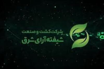  نامه تکمیل افشاء اطلاعات «شیفته» قبل از عرضه اولیه