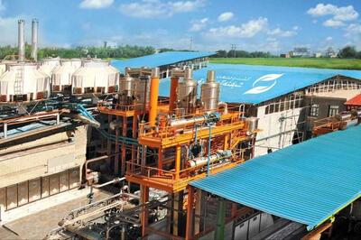  آقای کنسرو آماده عرضه اولیه شد