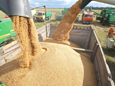  پشت‌پرده تأمین غلات ایران از روسیه