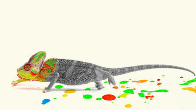  مدیر جسورتان چگونه همرنگ جماعت می‌شود؟