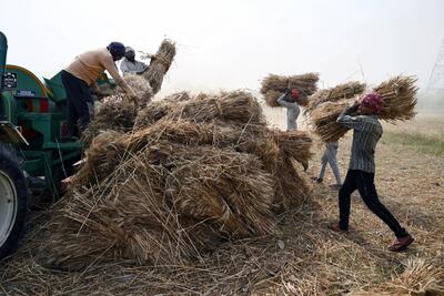  فوری/ قیمت واقعی گندم اعلام شد