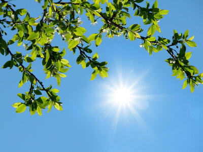  گرمای هوا تا اواخر هفته تداوم دارد/ نفوذ سامانه جدید بارشی از دوشنبه