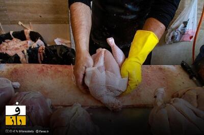  قیمت های جدید ارشادی مرغ اعلام شد