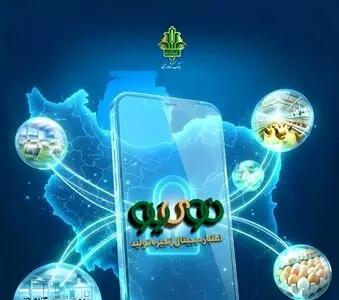  طرح جدید دولت برای تامین نقدینگی واحدهای تولیدی دام و طیور عملیاتی شد