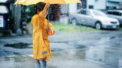  وضعیت هوای فردا فارس یکشنبه ۳ اسفند ۱۴۰۴ | پیش بینی آب و هوای شیراز در ۲۴ ساعت آینده + هواشناسی شیراز