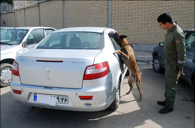  کشف ۴۲۱ کیلوگرم موادمخدر و دستگیری ۲۴۶۸ قاچاقچی در شبکه ریلی کشور - ایران ویو 24