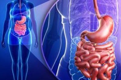  چگونه التهاب و کمبود آهن رانش پیری در روده را تسریع می‌کند