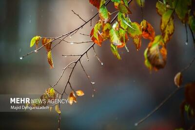  ورود سامانه بارشی جدید به کشور از روز سه‌شنبه؛ بازگشت زمستان