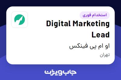  استخدام Digital Marketing Lead در او ام پی فینکس