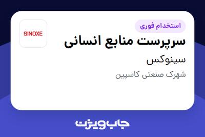  استخدام سرپرست منابع انسانی در سینوکس