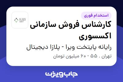  استخدام کارشناس فروش سازمانی اکسسوری در رایانه پایتخت ویرا - پلازا دیجیتال