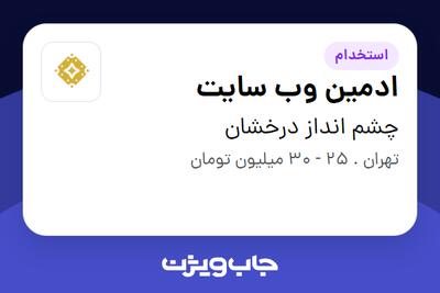  استخدام ادمین وب سایت در چشم انداز درخشان