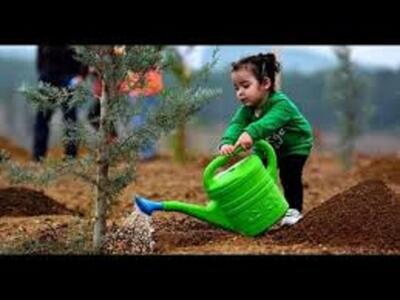  اعتماد به نفس میراث محیط‌های امن و حمایتی برای کودکان