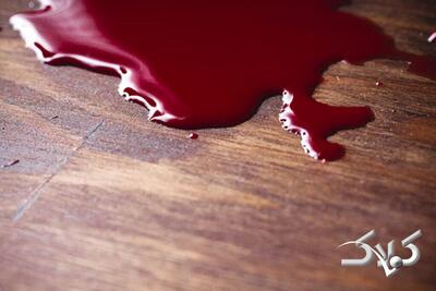  قتل خانم پرستار تهرانی در خانه‌باغ رئیسش - مجله اینترنتی کولاک