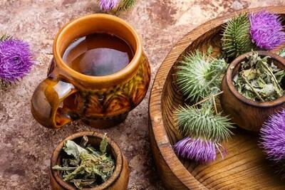  فرآوری گیاهان دارویی؛ موتور اشتغال پایدار در سیستان و بلوچستان