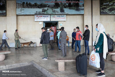  کشف ۴۲۱ کیلوگرم موادمخدر و دستگیری ۲۴۶۸ قاچاقچی در شبکه ریلی کشور