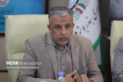 رفاهی: محدودیت فضا مانع اجرای پروژه‌های بزرگ در بوشهر شده است