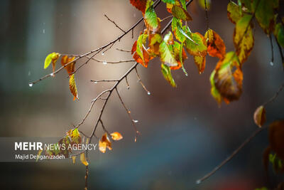  ورود سامانه بارشی جدید به کشور از روز سه‌شنبه؛ بازگشت زمستان