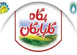  توقف نماد (غگلپا1)