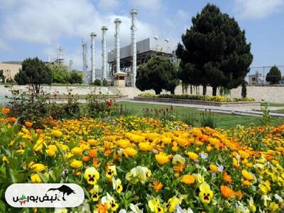  خراسان دست به افشای اطلاعات زد