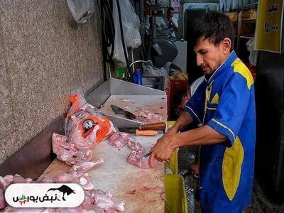  قیمت مرغ امروز شنبه ۲ اسفند ۱۴۰۴