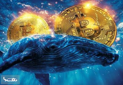  ورود بیت‌کوین به صرافی‌ها افت کرد | نفت ما