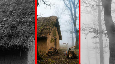  فیلم آوای طبیعت در دل جنگل های هیرکانی