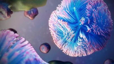  کودتای بیولوژیک؛ ویروسی که کارخانه پروتئین‌سازی سلول را مصادره کرد