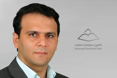  محسن عرب زاده مدیرعامل تامین سرمایه دماوند شد