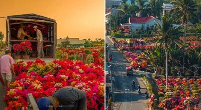  نگاه سوپر ویژه خالق به این منطقه تو بهار؛ روستای گل کاغذی انگار یه نقاشی خاص غول پیکره
