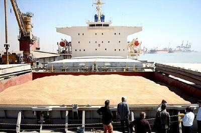  ورود ۱۸ کشتی اقیانوس‌پیما به چابهار برای تأمین گندم ۱۱ استان کشور طی سال جاری