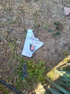  پاره کردن عکس کودک شهید در دانشگاه شریف