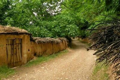  ۵۰۰ هکتار به گستره باغ‌های ایلام افزوده می‌شود