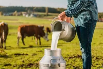  مصرف لبنیات محلی می‌تواند احتمال انتقال تب مالت را افزایش دهد