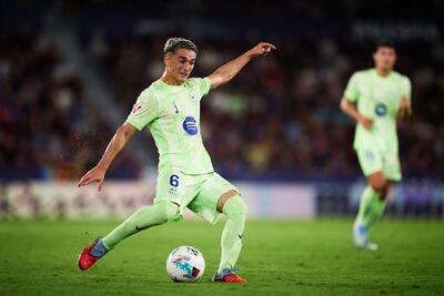  گاوی حاضر بود با عصا هم بازی کند!