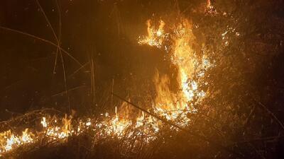  مهار آتش‌سوزی عمدی در پارک ملی بوجاق