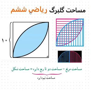  محاسبه مساحت گلبرگ داخل مربع