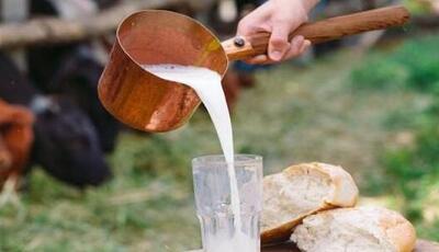  افزایش خطر تب مالت در فصل زایش دام‌ها؛ مراقب شیر فله باشید