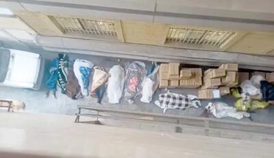  گزارش  شرق  از جزئیات پیکرهای پیچیده در پتو در بیمارستان «الغدیر»