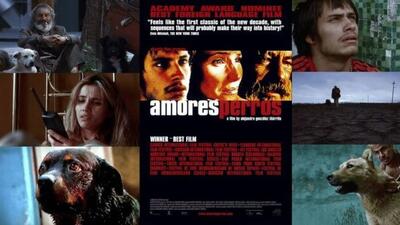  «عشقِ سگی» دوباره زنده شد