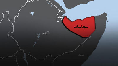 پیشنهاد «سومالی لند» به آمریکا برای تاسیس پایگاه نظامی در این منطقه