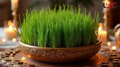  انتخاب ظرف سبزه عید؛ سفالی بهتر است یا شیشه‌ای؟