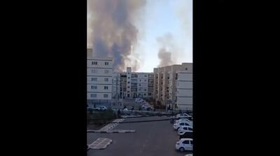  علت دود سیاه در پرند چه بود؟