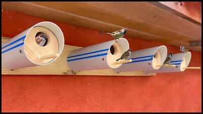  آموزش ساخت لانه با لوله و چوب برای گنجشک ها برای فصل های سرد