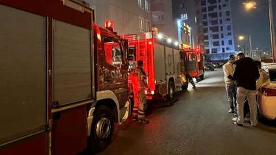  آتش سوزی دوباره در نیزارهای اطراف رودخانه شور پرند