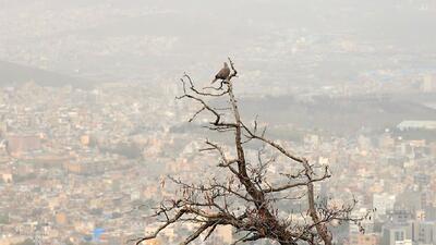  ۱۸ شهر خوزستان در وضعیت قرمز و نارنجی آلودگی هوا