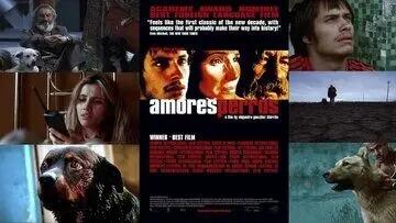  «عشقِ سگی» دوباره زنده شد