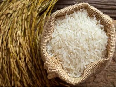  کاهش عرضه برنج، بازار را به مرز بی‌ثباتی کشاند