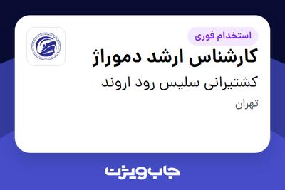  استخدام کارشناس ارشد دموراژ در کشتیرانی سلیس رود اروند