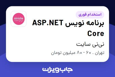  استخدام برنامه نویس ASP.NET Core در نی‌نی سایت